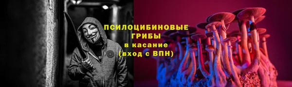 синтетический гашиш Алексеевка